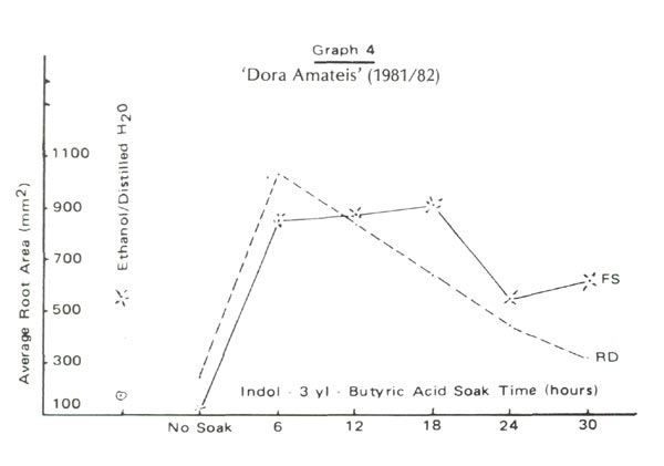 Graph 4