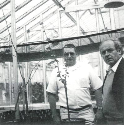 Dr. Wilbur Anderson (center), pioneer in researching the micropropagation of Rhododendron.