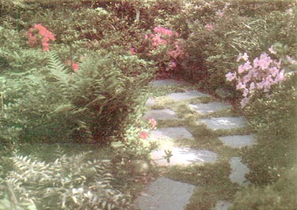 Curving paths in garden.