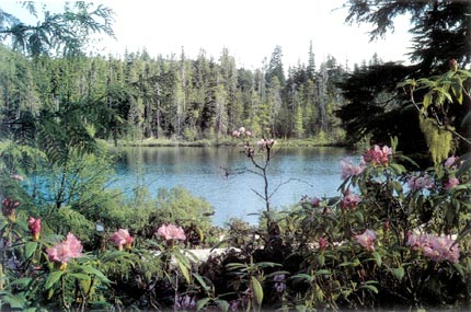 Rhododendron Lake, Vancouver Island, Canada