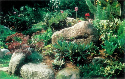 Dr. Jacobsen's rock garden
