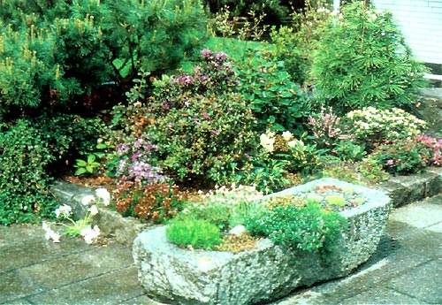 Dr. Jacobsen's stone trough garden