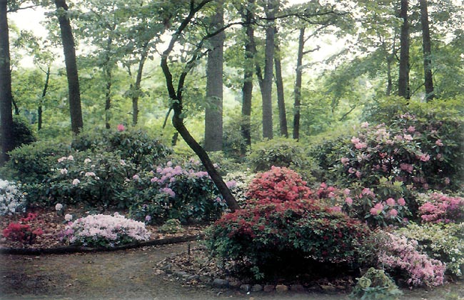 Shapiro Garden
