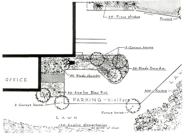 Garden design layout