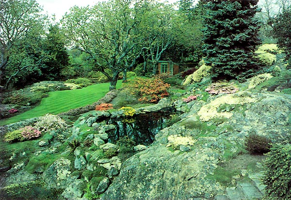 View in Abkhazi garden