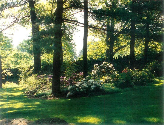 Massachusetts Chapter Display Garden