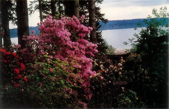 Warren Berg's garden, Port Ludlow, 
Washington