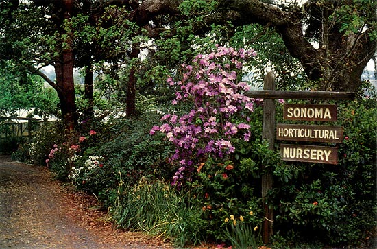 Sonoma horticultural nursery