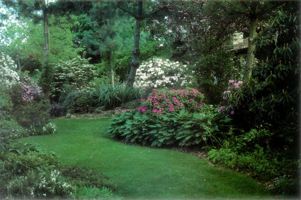 Kolak garden