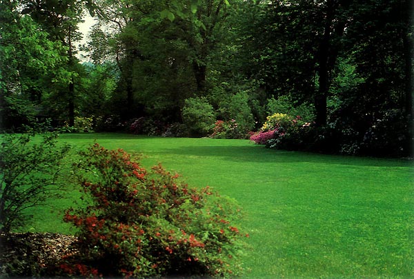 Vistas in Mark Konrad's garden