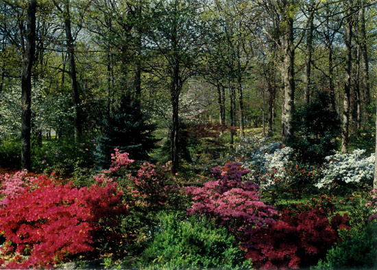 Leonard Miller garden, Grove, Oklahoma