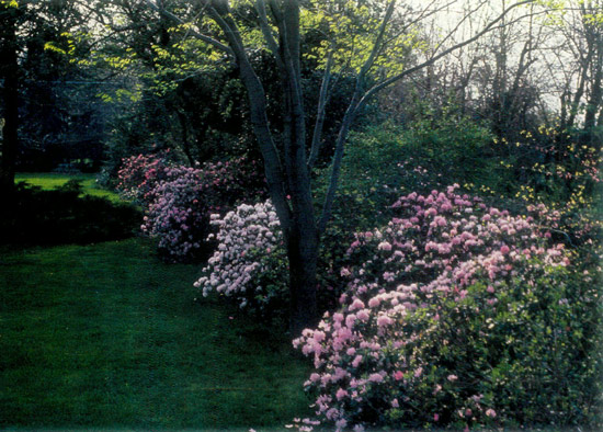 Don Paden garden, Urbana, Illinois