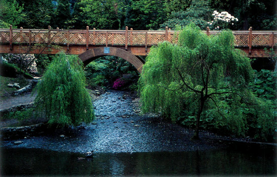 The new bridge at Crystal Springs
garden