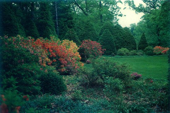 Don and Mary Zaun's garden, Wasco,
Illinois