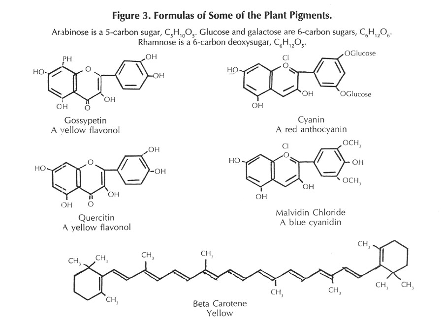 Plant pigment formulas