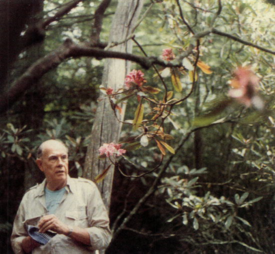 John Barber in front of original tree of 
red maximum in 1983