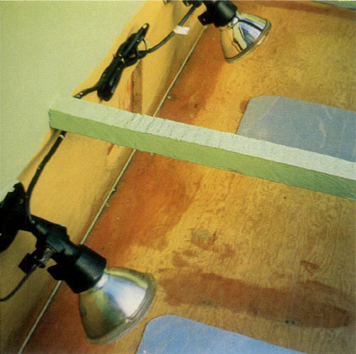 Figure 2. Detail on heat lamps and 
sockets