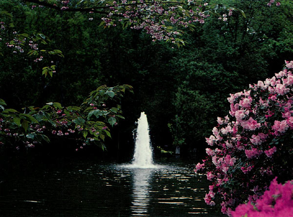 Crystal Springs Rhododendron 
Garden and Fred Paddison Memorial Fountain