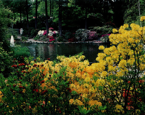 Crystal Springs Rhododendron Garden