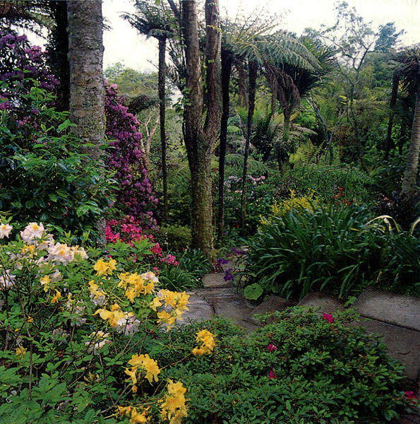 New Zealand garden 'Westridge scene'