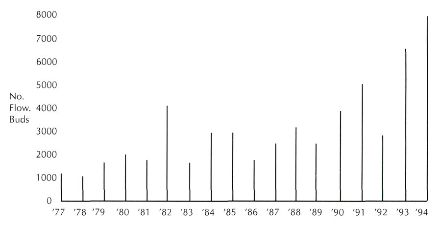 Figure 2. Total Number of 
Rhododendron Flower Buds Counted Each Year