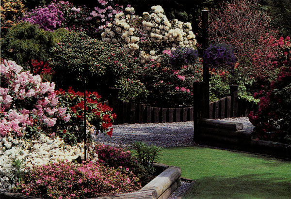 The Morton Garden, Surrey