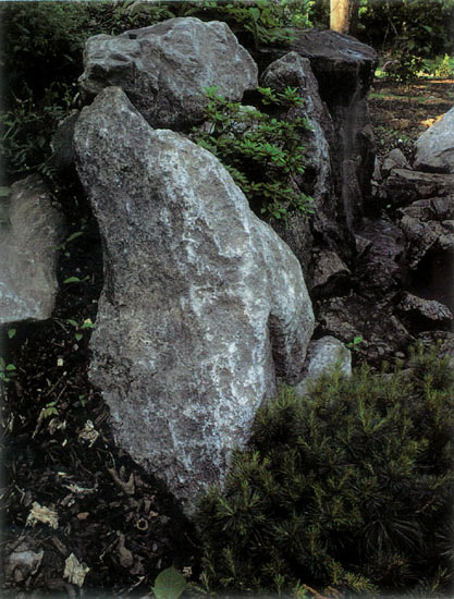 Rocks placed in the Woodland
Garden.