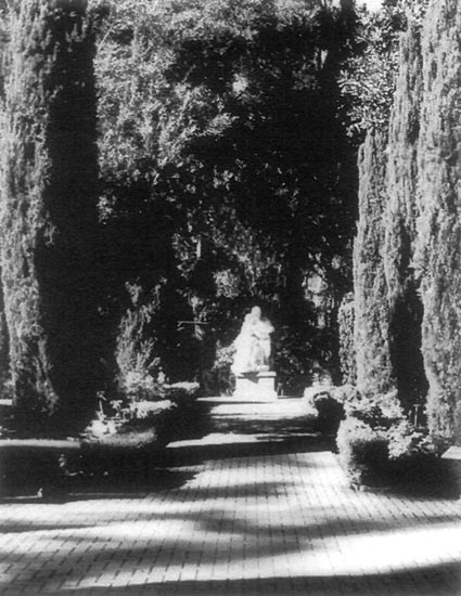 Arboretum of Villa Montalvo,
Los Gatos.