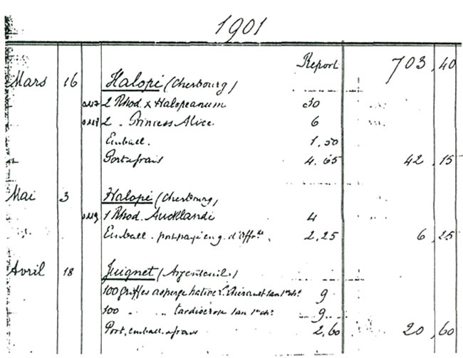 Mr. Mallet's account book
showing the entry for 'Halopeanum'