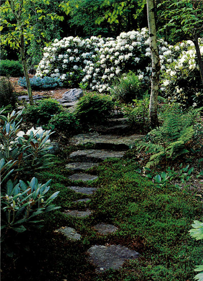Field stone garden path