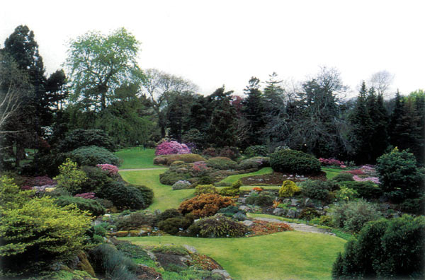 The Rock Garden, Royal 
Botanic Garden, Edinburgh.