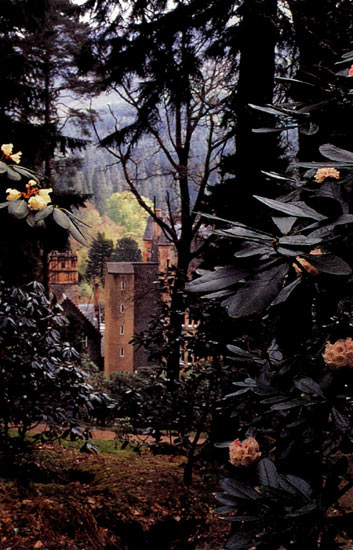 Garden scene with castle in 
background.