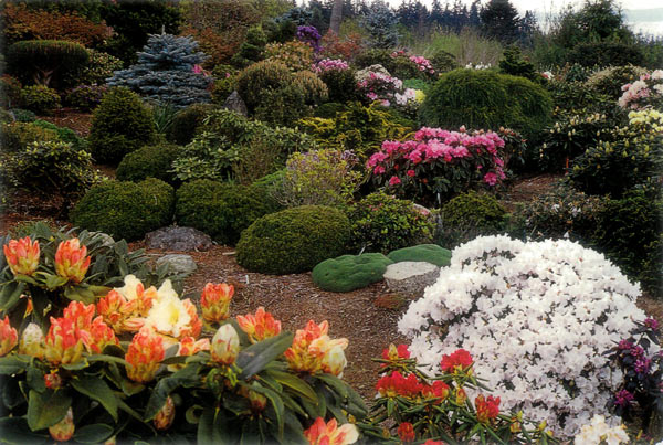 Frank Fujioka garden