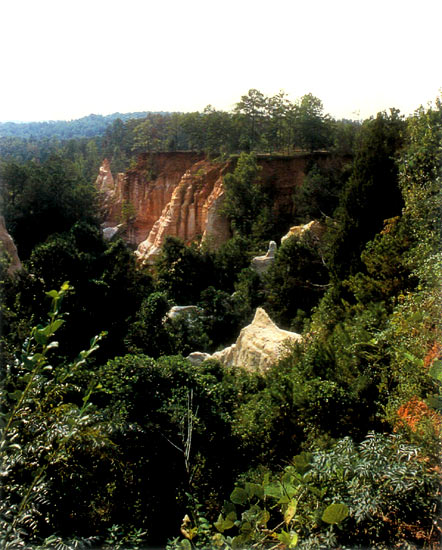 Providence Canyon as viewed
from the edge.