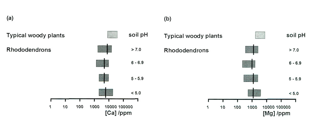 Figure 6. Ranges of calcium and 
magnesium concentrations in rhododendron leaves