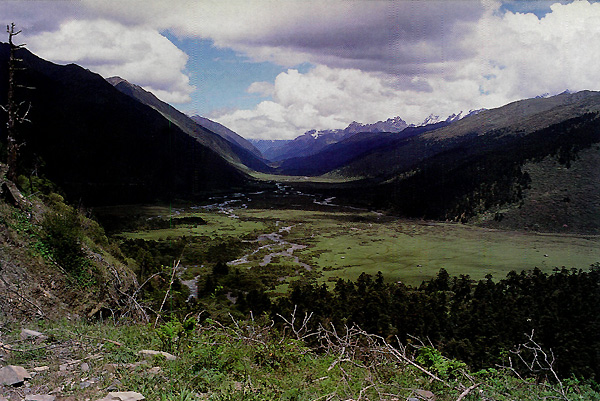 The Tsari River valley and Senguti Plain