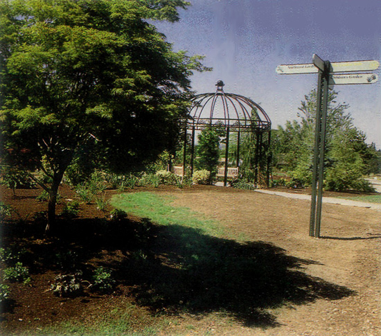 A wrought iron pergola on path to 
Children's Garden