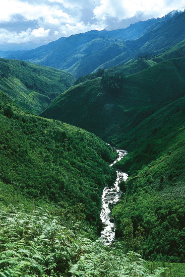 Ibele Valley, Irian Jaya