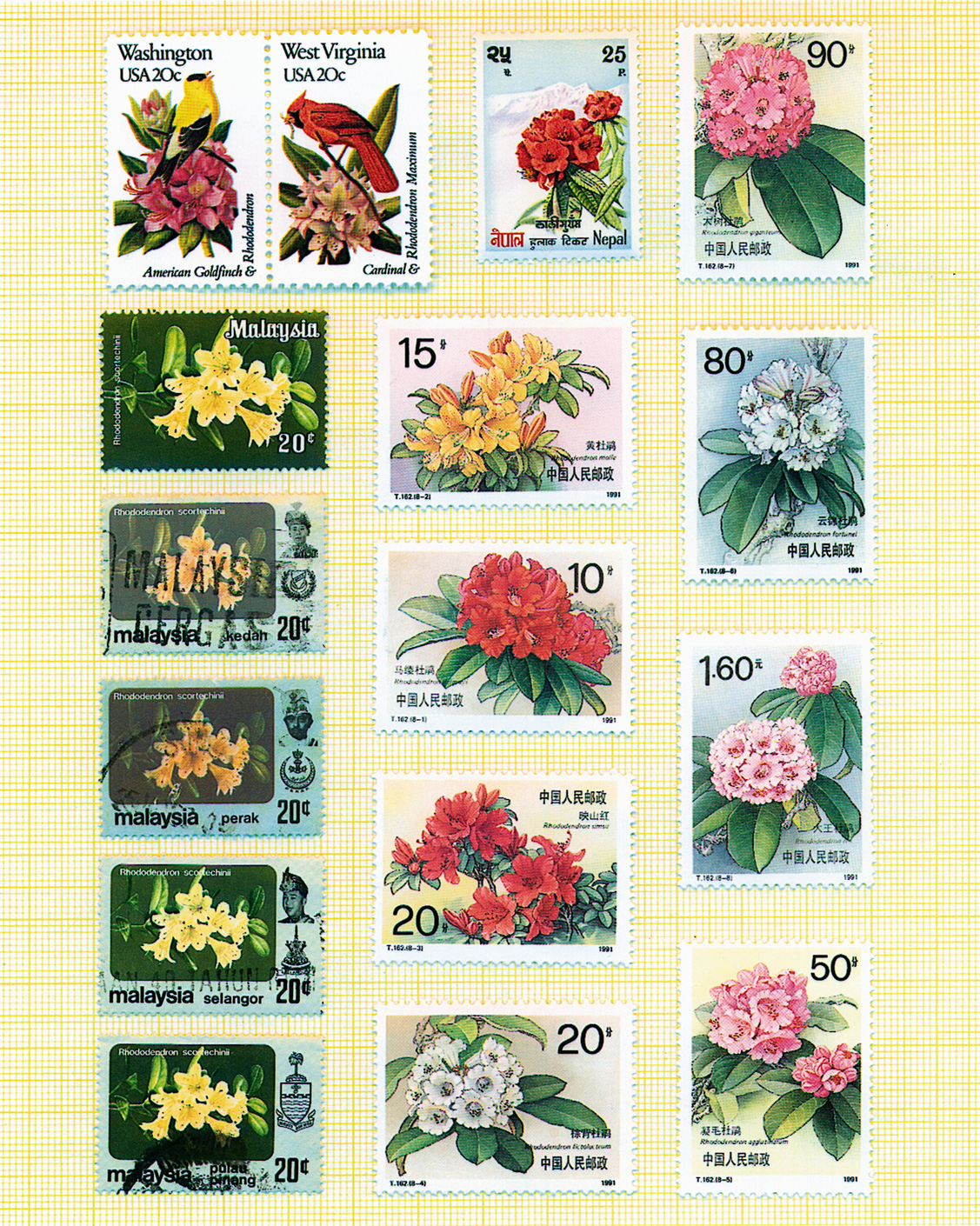 Rhododendron postage stamps