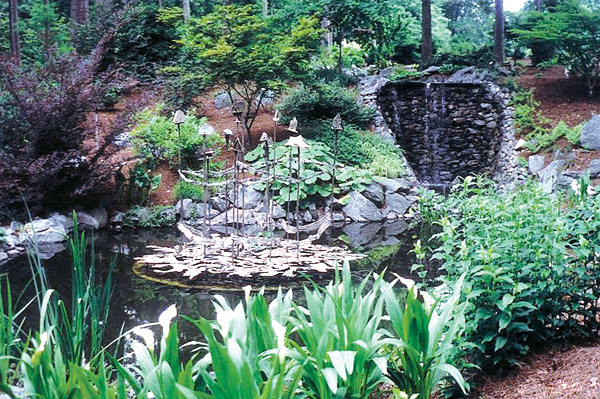 Bob Gilbert's garden