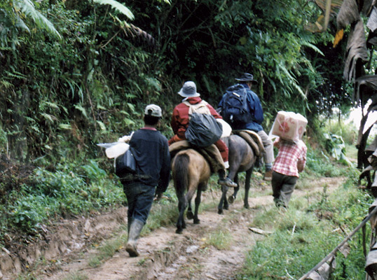 Travelling in style to Karangang,
the kampung at the foot of G. Rantemario