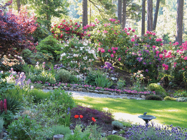 Ron Knight's garden
