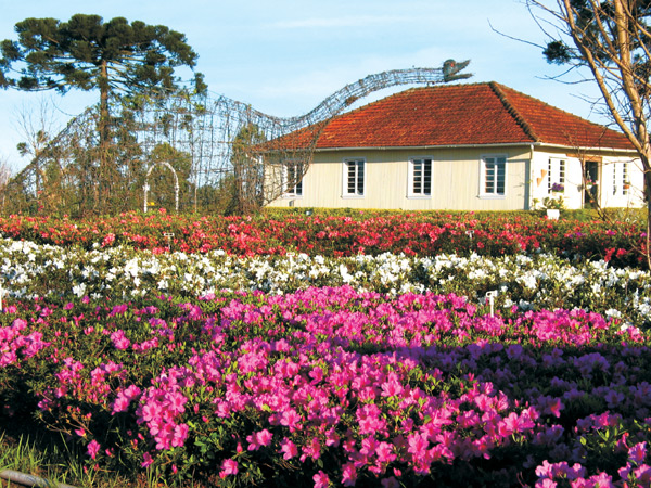 Andreis Gardens with azaleas in 
foreground.