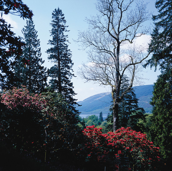 Views
across Loch Fyne from the upper levels of the Woodland Garden