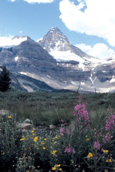Mt. Assiniboine, the Matterhorn
of the southern Canadian Rockies.