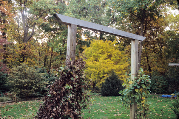 Entrance Garden