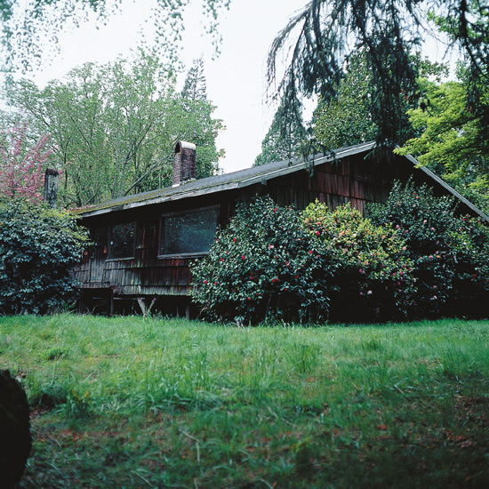 View of house
showing some of the extensive camellia collection.