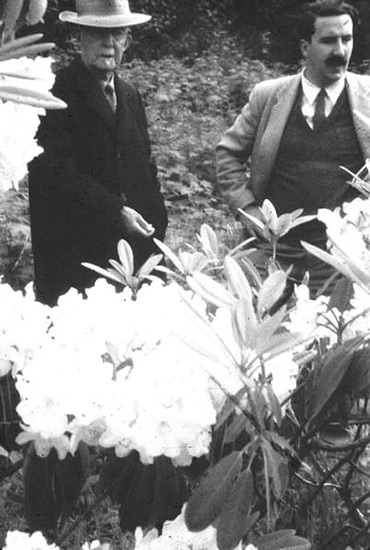 Dr. C.S. McKee and Desmond Muirhead 
view some of the doctor's seedlings
