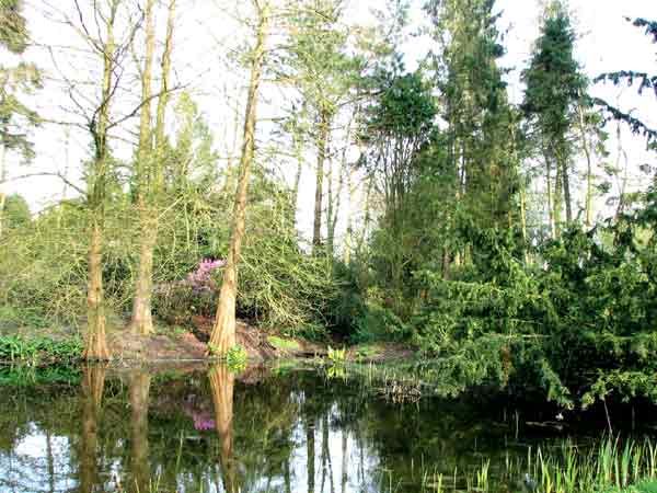 The Arboretum Notoarestoen