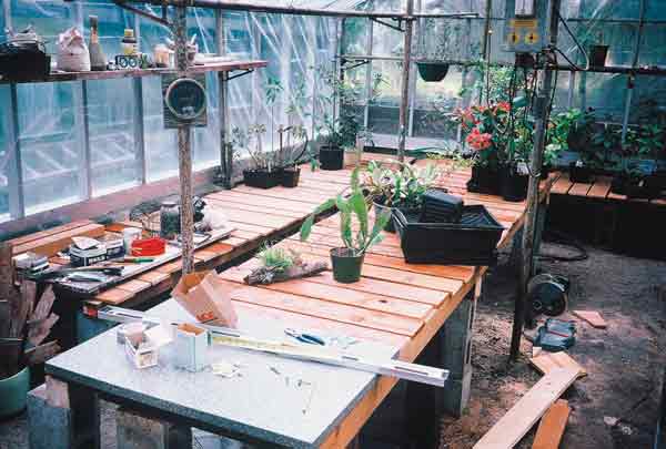 The greenhouse before renovation,
showing the bench 'format'.